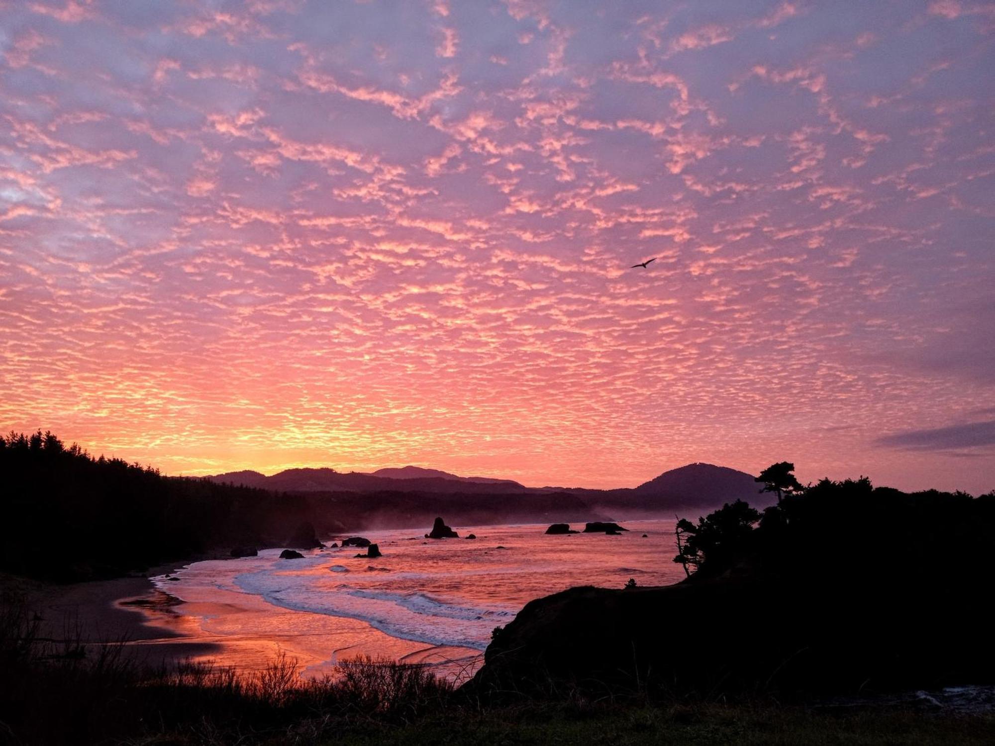 The Cove At Port Orford - 5 Ocean Front Suites エクステリア 写真