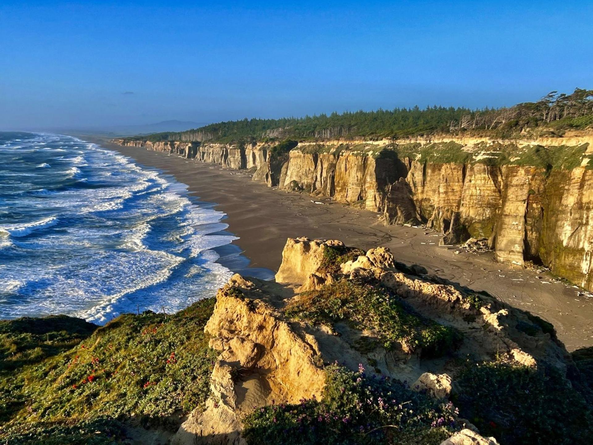 The Cove At Port Orford - 5 Ocean Front Suites エクステリア 写真