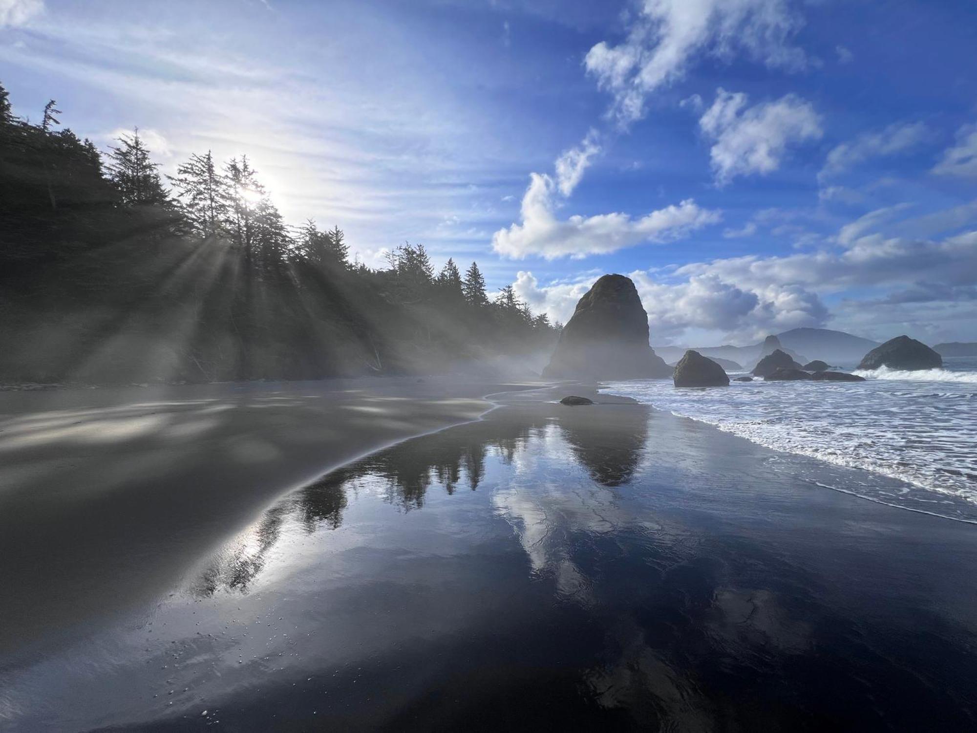 The Cove At Port Orford - 5 Ocean Front Suites エクステリア 写真
